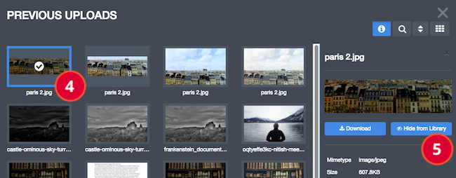 A view of your Previous Uploads with an image selected. This reveals a menu on the left with technical details about the image. You are being directed to select the Hide From Library button.