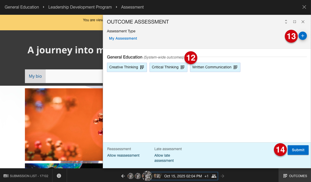 Submission assessment page with Outcome Assessment panel open marked with number guides 12, 13 and 14