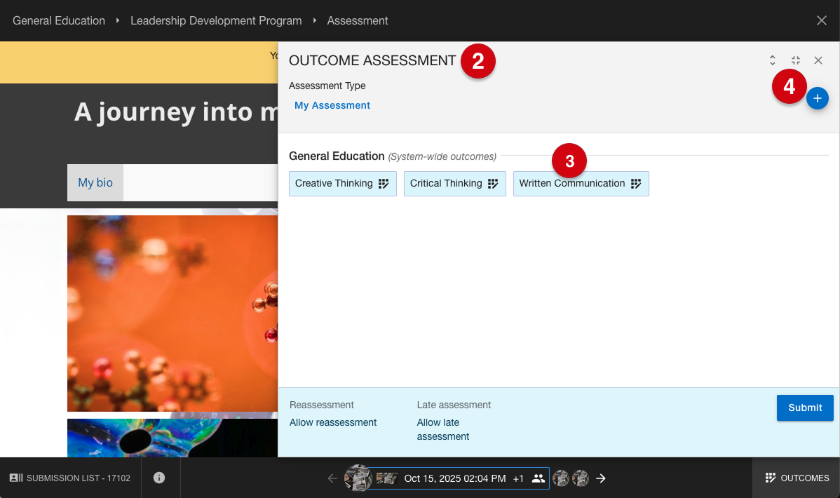 Submission assessment page and outcome assessment panel marked with number guides 2, 3 and 4