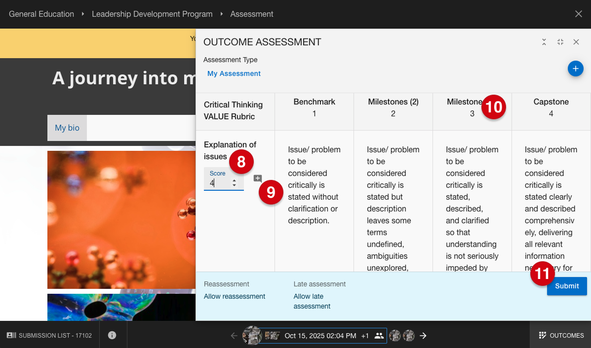Submission assessment page and outcome assessment panel marked with number guides 8, 9, 10 and 11