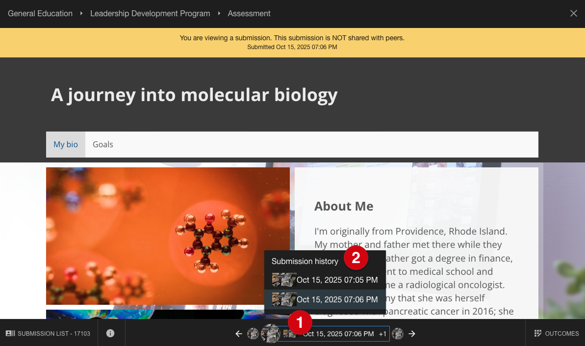 Submission assessment page and submission history marked with number guides 1 and 2
