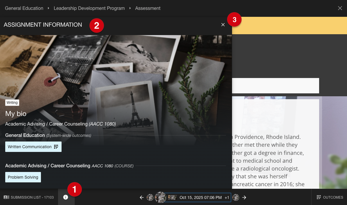 Submission assessment page and assignment information panel marked with number guides 1, 2 and 3