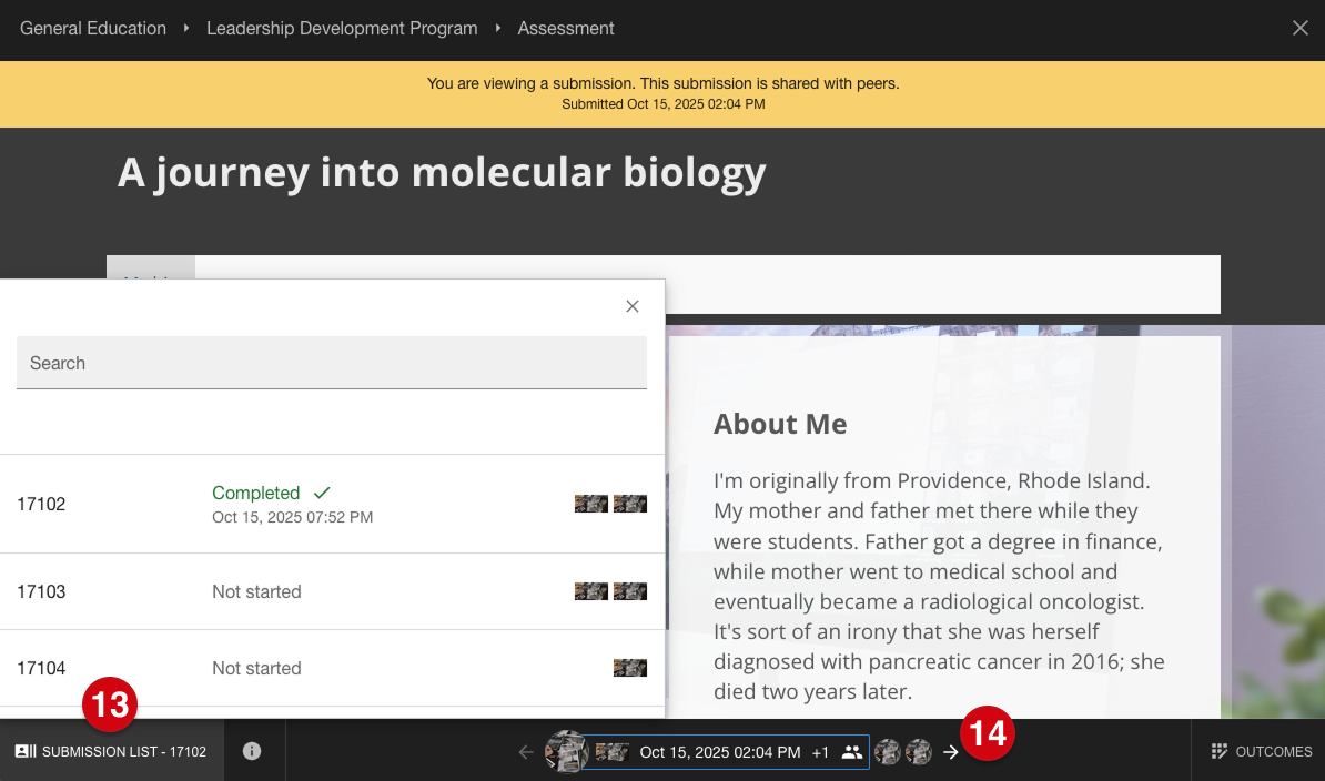 Submission assessment page marked with number guides 13 and 14